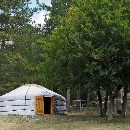 Verdon Yourtes à La Ferme Camping Angles (Alpes-de-Haute-Provence)