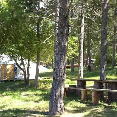 Camping Verdon Yourtes à La Ferme